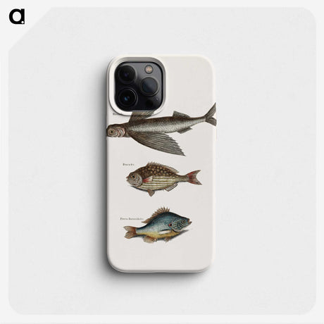 1-75_Mark-Catesby_phone
