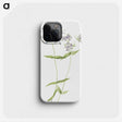 1-75_Mary-Vaux-Walcott_phone