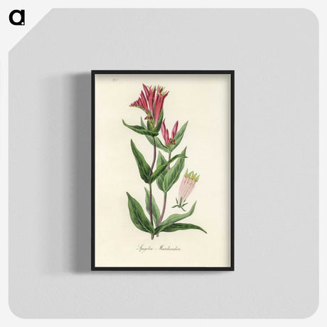 1-75_Medical-Botany_blk-crop