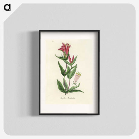 1-75_Medical-Botany_blk