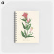 アートメモ帳-Woodland Pinkroot Illustration
 - 薬用植物学 Memo.