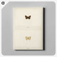 1-75_Moths-and-Butterflies-of-the-United-States_canvas
