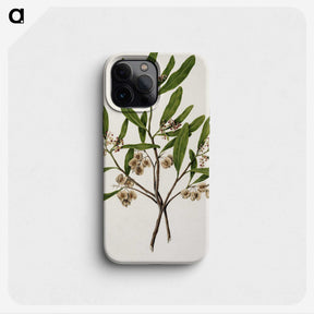 1-75_Native-Flowering-Plants-of-New-Zealand_phone