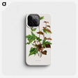 1-75_Nederlandsche-Flora-en-Pomona_phone