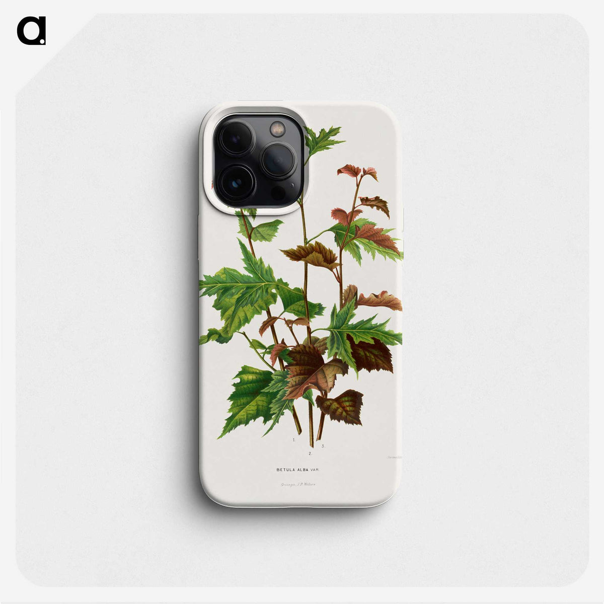1-75_Nederlandsche-Flora-en-Pomona_phone