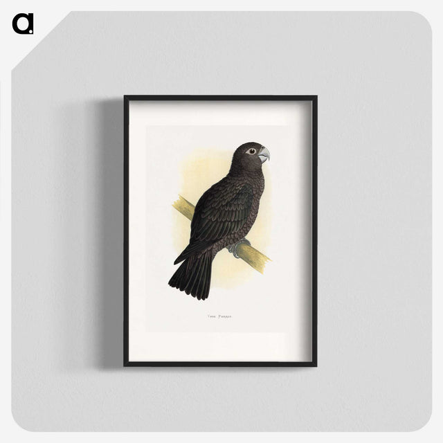 1-75_Parrots-in-Captivity_blk