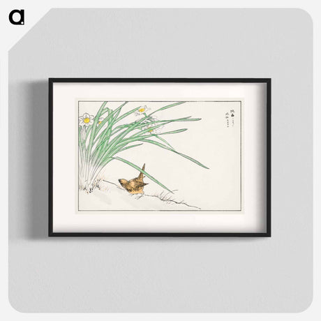 アートポスター-Japanese Wren and Daffodil
 - 鳥類図鑑 Poster.