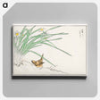 アートパネル-Japanese Wren and Daffodil
 - 鳥類図鑑 Canvas.