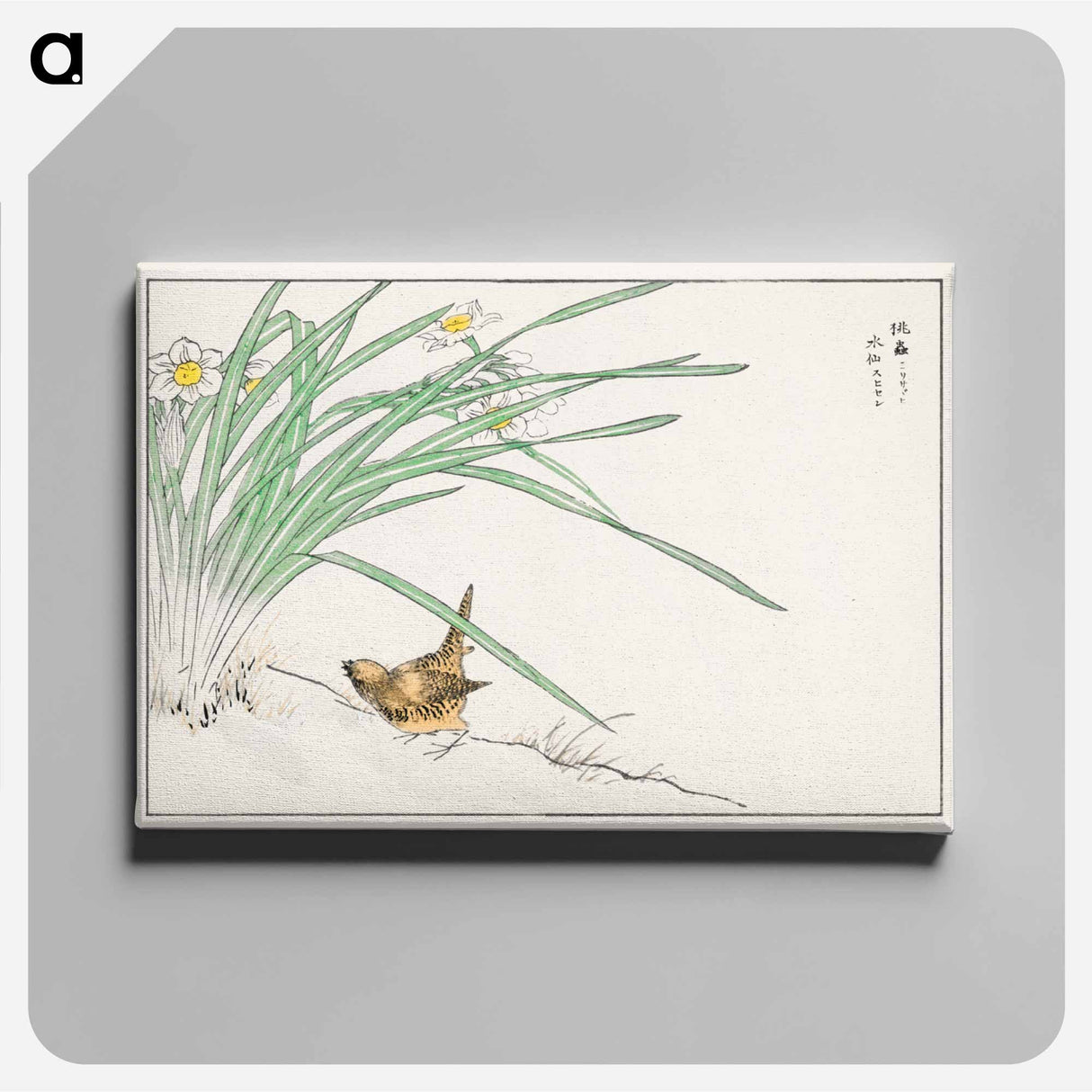 アートパネル-Japanese Wren and Daffodil
 - 鳥類図鑑 Canvas.