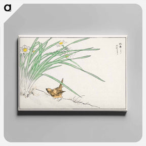 アートパネル-Japanese Wren and Daffodil
 - 鳥類図鑑 Canvas.