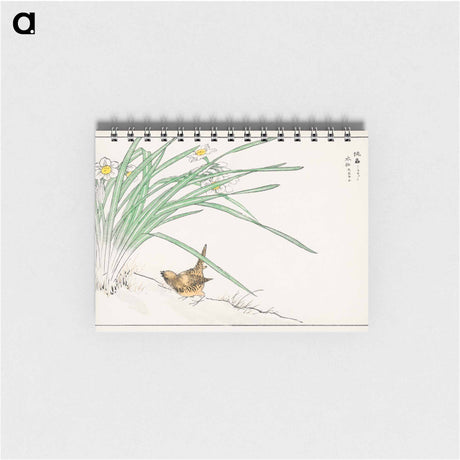 アートメモ帳-Japanese Wren and Daffodil
 - 鳥類図鑑 Memo.