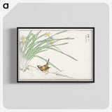 1-75_Pictorial-Monograph-of-Birds_blk-crop