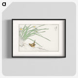 1-75_Pictorial-Monograph-of-Birds_blk