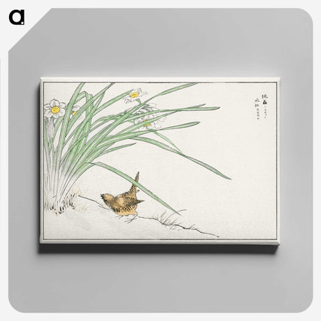 1-75_Pictorial-Monograph-of-Birds_canvas