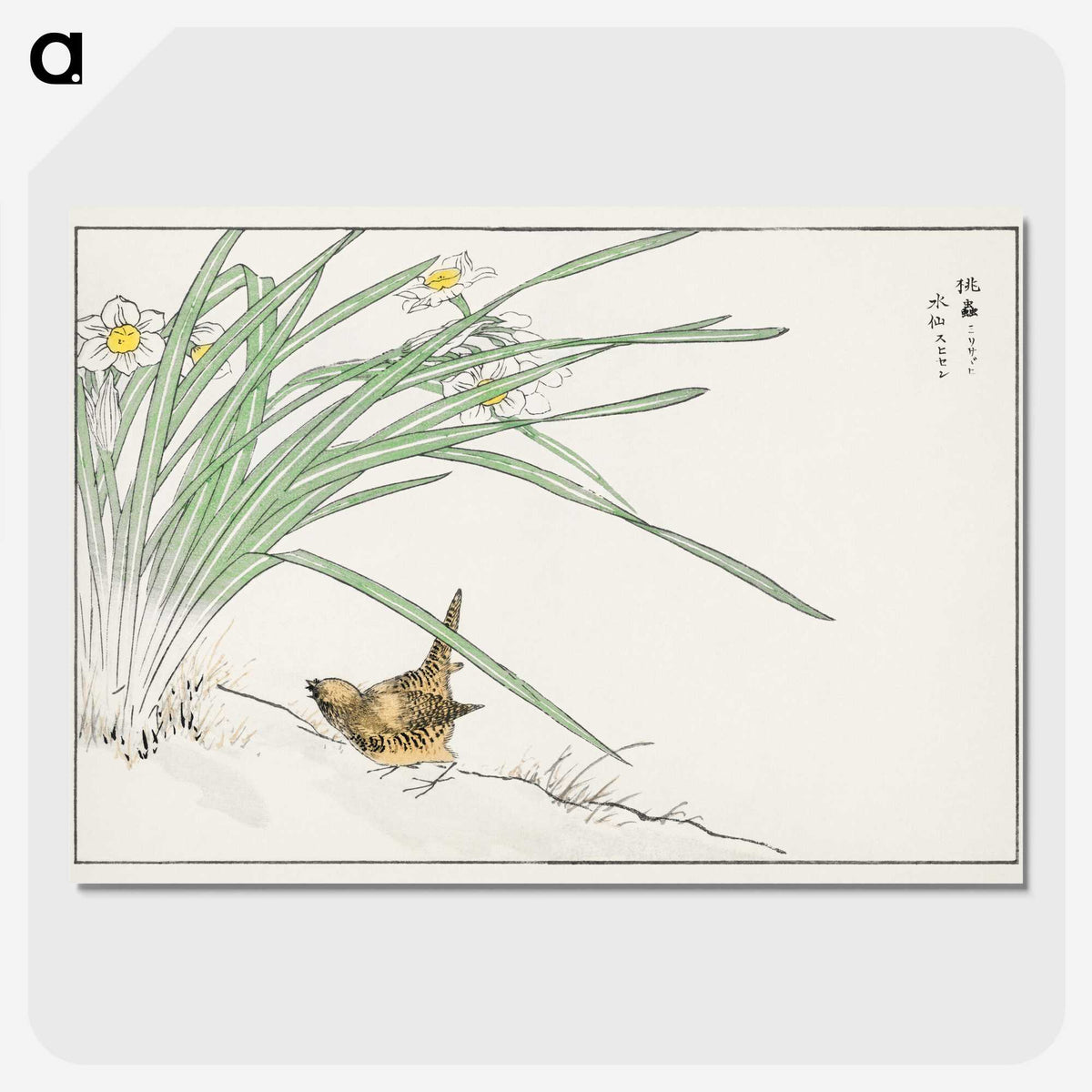 1-75_Pictorial-Monograph-of-Birds_picture-crop