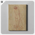 1-75_Pierre-Bonnard_canvas