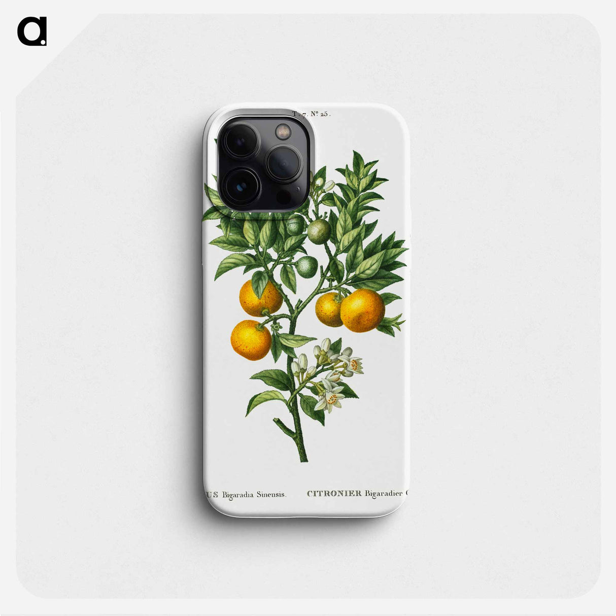 Bitter sweet oranges on a branch - Pierre Joseph Redouté Phone Case.