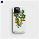 Bitter sweet oranges on a branch - Pierre Joseph Redouté Phone Case.