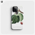 1-75_Pomona-Italiana_phone