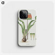 1-75_Robert-Jacob-Gordon_phone