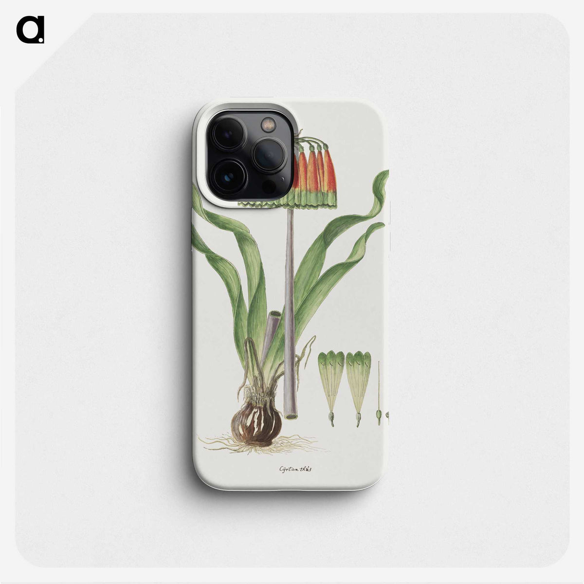 1-75_Robert-Jacob-Gordon_phone