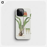 1-75_Robert-Jacob-Gordon_phone