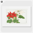 1-75_Seiyo-Soka-Zufu_picture