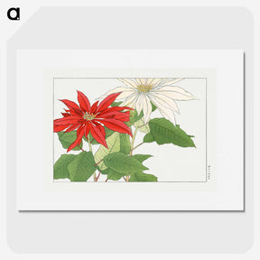 1-75_Seiyo-Soka-Zufu_picture