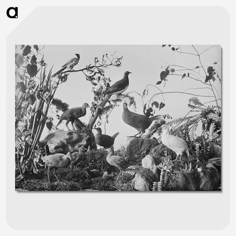 1-75_The-Burton-Brothers_picture-crop