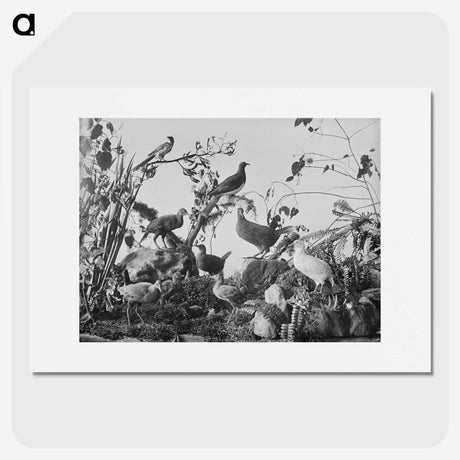 1-75_The-Burton-Brothers_picture