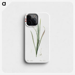 1-75_The-Lilies_phone