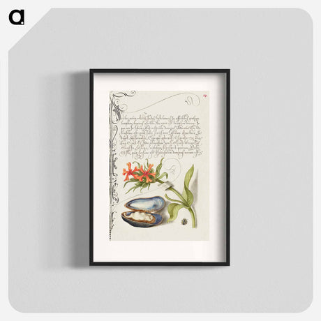アートポスター-Maltese Cross, Mussel, and Ladybird
 - 書道のお手本 Poster.