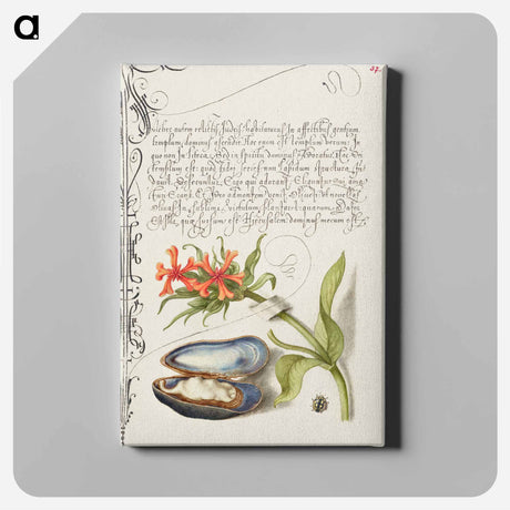 アートパネル-Maltese Cross, Mussel, and Ladybird
 - 書道のお手本 Canvas.