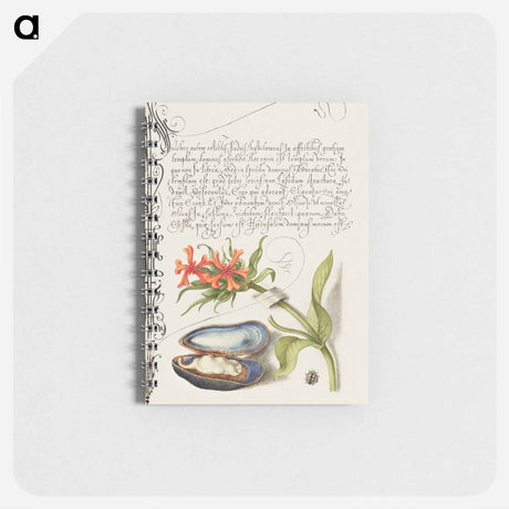 アートメモ帳-Maltese Cross, Mussel, and Ladybird
 - 書道のお手本 Memo.