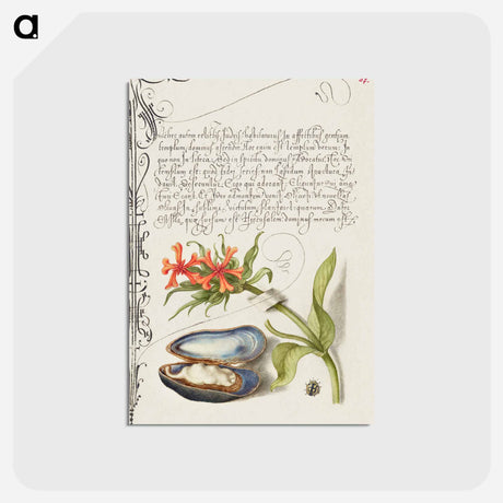 アートポストカード-Maltese Cross, Mussel, and Ladybird
 - 書道のお手本 Postcard.