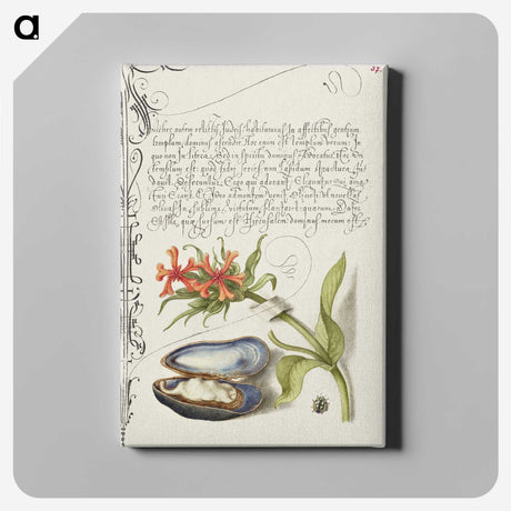 1-75_The-Model-Book-of-Calligraphy_canvas