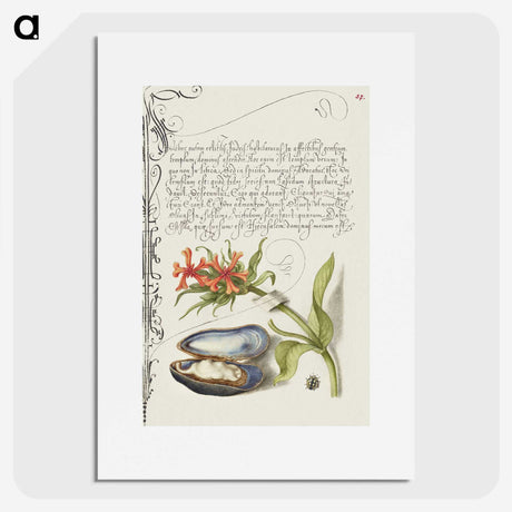1-75_The-Model-Book-of-Calligraphy_picture