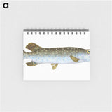 1-75_The-Natural-History-of-British-Fishes_memo