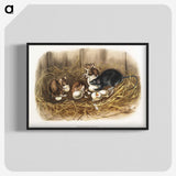 1-75_The-Viviparous-Quadrupeds_blk-crop