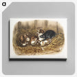 1-75_The-Viviparous-Quadrupeds_canvas