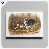 1-75_The-Viviparous-Quadrupeds_canvas