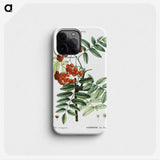 1-75_Treatise-on-Trees-and-Shrubs_phone