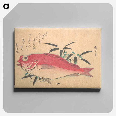 アートパネル-Medetai Fush and Sasaki Bamboo, from the series Uozukushi (Every Variety of Fish)
 - 歌川 広重 Canvas.