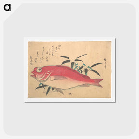 アートポストカード-Medetai Fush and Sasaki Bamboo, from the series Uozukushi (Every Variety of Fish)
 - 歌川 広重 Postcard.