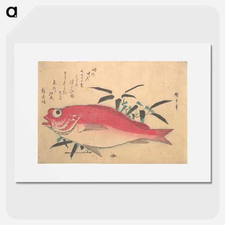 アートポスター-Medetai Fush and Sasaki Bamboo, from the series Uozukushi (Every Variety of Fish)
 - 歌川 広重 Poster.
