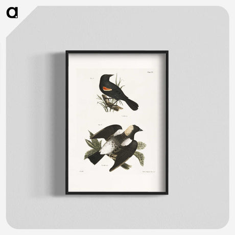 1-75_Zoology-of-New-York_blk
