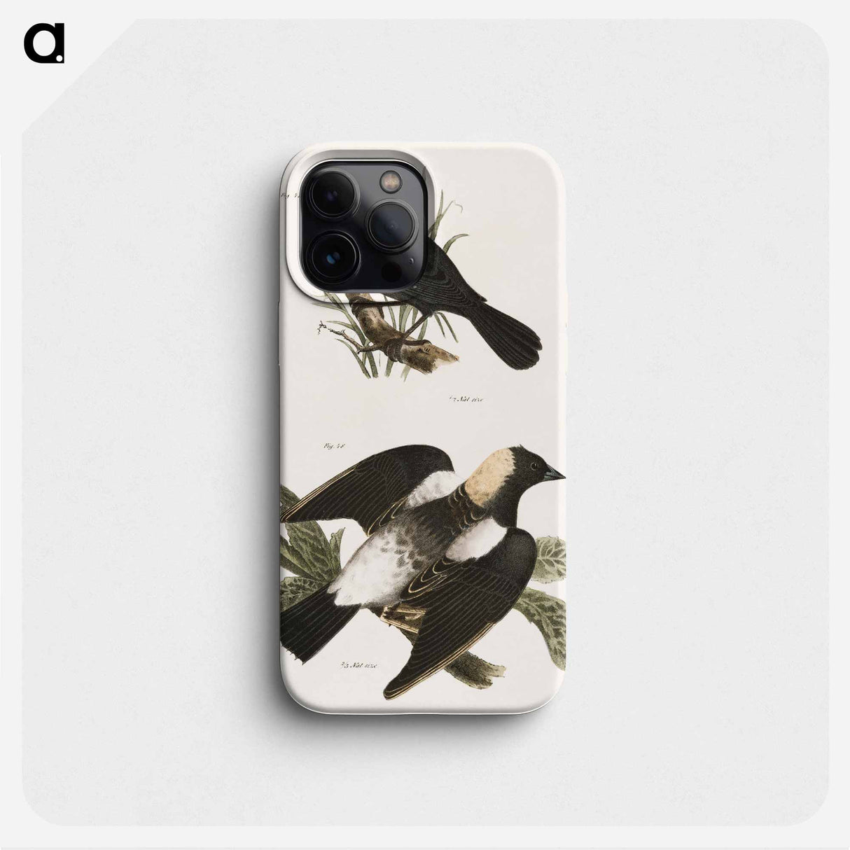 The Red-winged Oriole - ニューヨークの動物学 Phone Case.