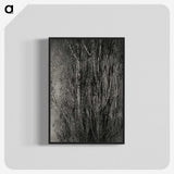 1-76_Alfred-Stieglitz_blk-crop
