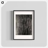 Dying Poplar and Live Branch - Lake George - アルフレッド スティーグリッツ Poster.
