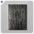 1-76_Alfred-Stieglitz_canvas